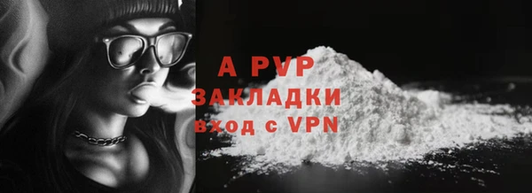 apvp Богданович